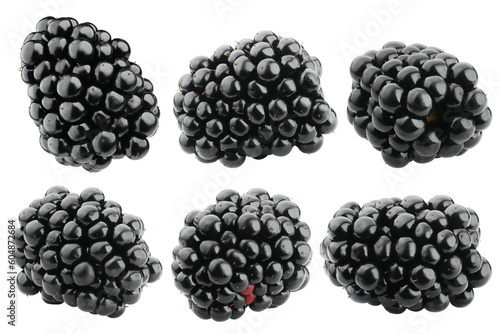 Blackberry isolated on white background, full depth of field