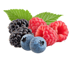 wild berries mix, raspberry, blueberries, blackberries isolated on white background, full depth of field