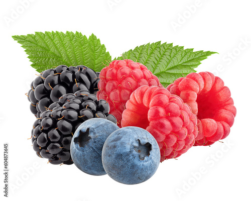 wild berries mix, raspberry, blueberries, blackberries isolated on white background, full depth of field photo