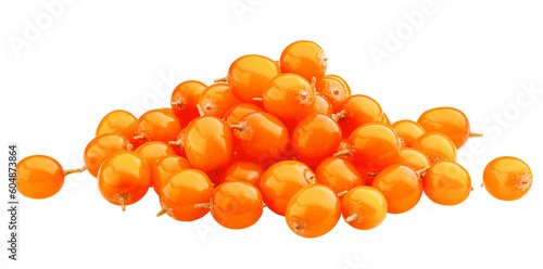 Sea buckthorn isolated on white background, full depth of field photo