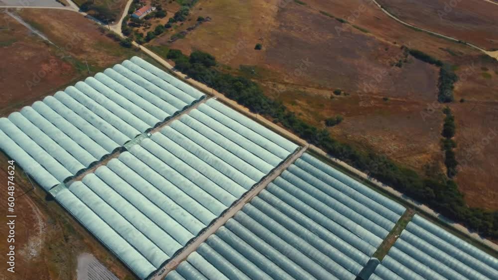 Polytunnels growing organic fruit and veg in Portugal Polytunnels growing organic fruit and veg in Portugal