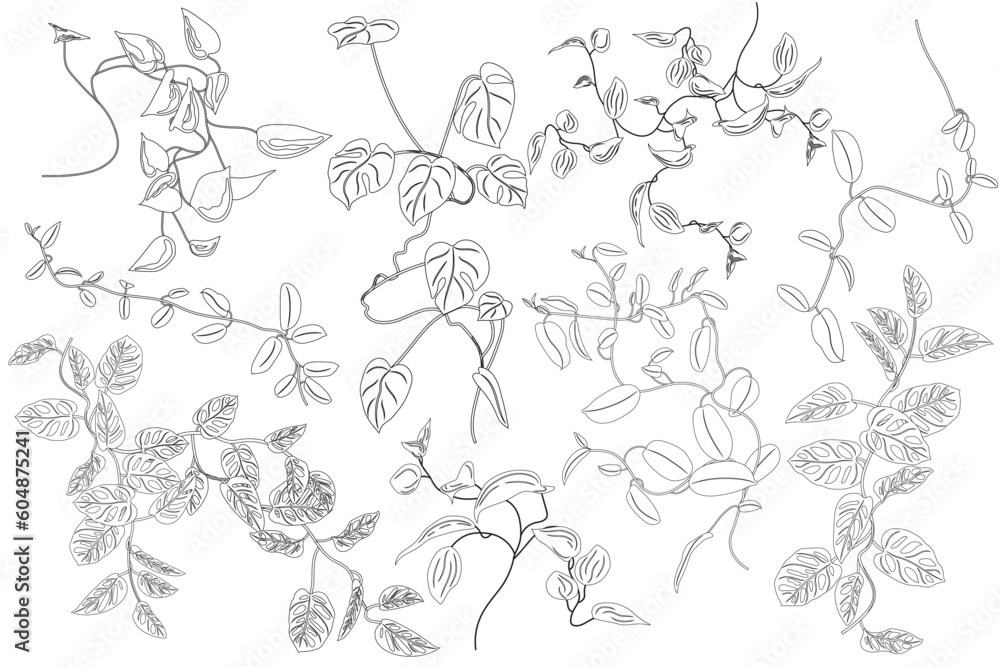 Coloring with tropical greenery set. Creepers, flowers. Monstera, philodendron, hoya. Stickers, clipart Coloring with tropical greenery set. Creepers, flowers. Monstera, philodendron, hoya. Stickers, clipart