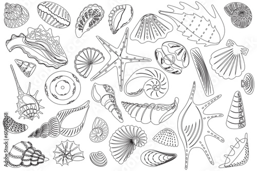 Set of coloring with various seashells. Starfish, shellfish, underwater world