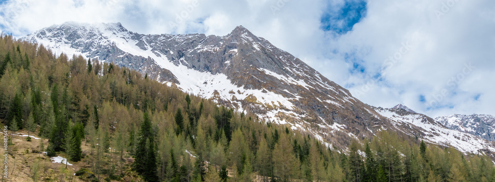 panorama of the mountains (Ahrntal valley, South Tyrol,  Italy)