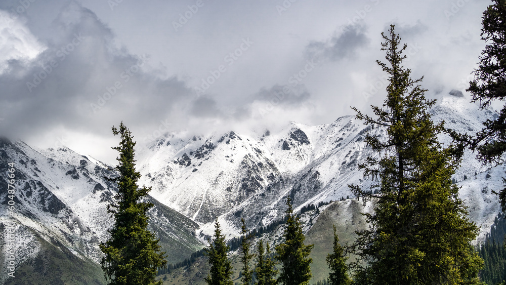 snowy mountain peaks in the clouds. beautiful peaks