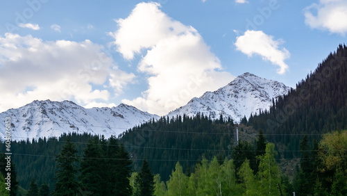 early morning in a mountain gorge. morning in the mountains. green forest on the background of snowy mountain peaks