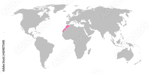 Vector map of the world with the country of Morocco highlighted in Pink on grey white background.