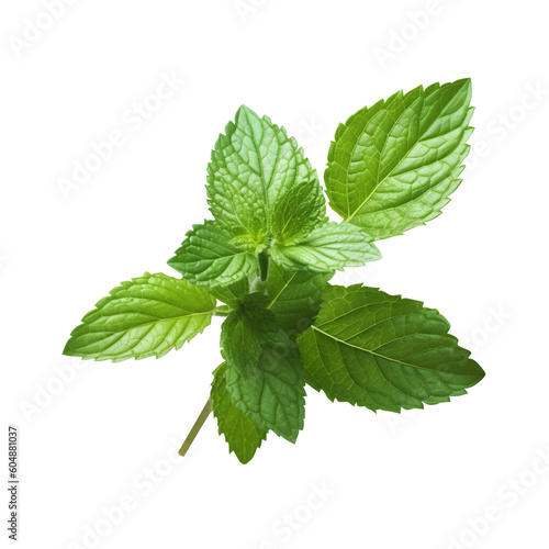 fresh close up green mint leaves isolated on white background generated by AI