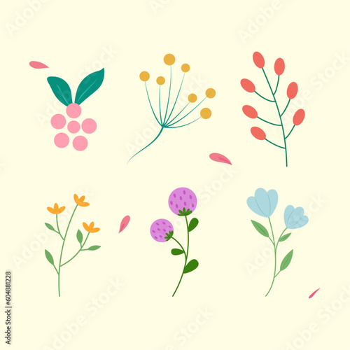 Organic flat flower, leaf collection. Romantic flower collection with flowers, twigs, leaves, herbs and berries. Vector design isolated.