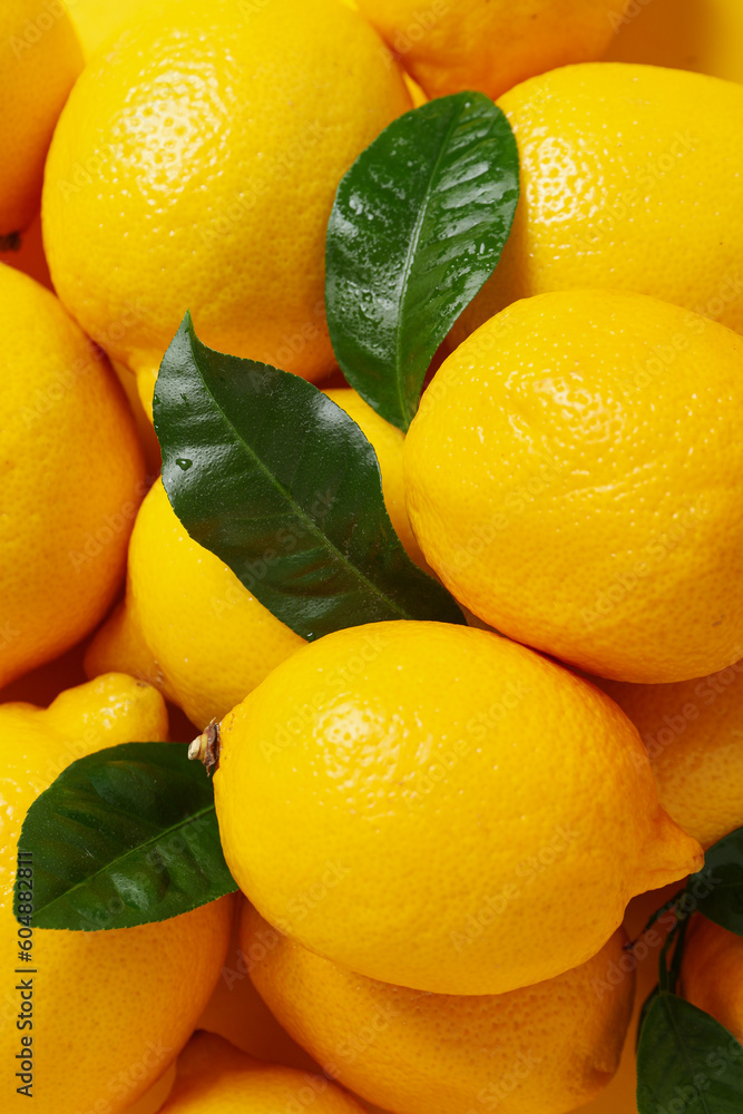 Concept of tasty citrus fruit - delicious lemon