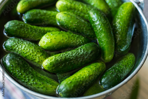 Cucumbers are soaked in water for preservation