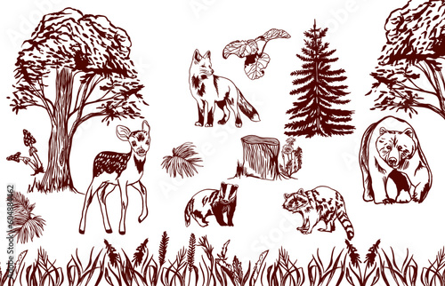 Vector illustration of forest animals and plants. One-color image. An element of interior design, greeting cards, banners, flyers. Bear, fawn, raccoon