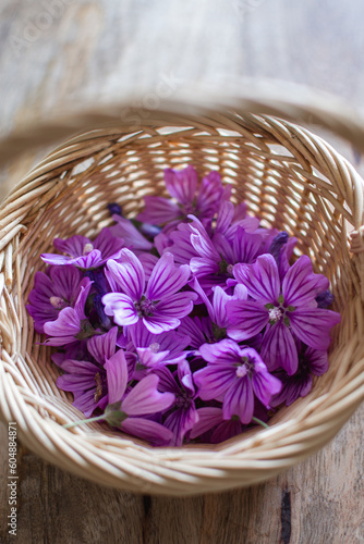 flores de malva en una cesta de mimbre © MCarmen