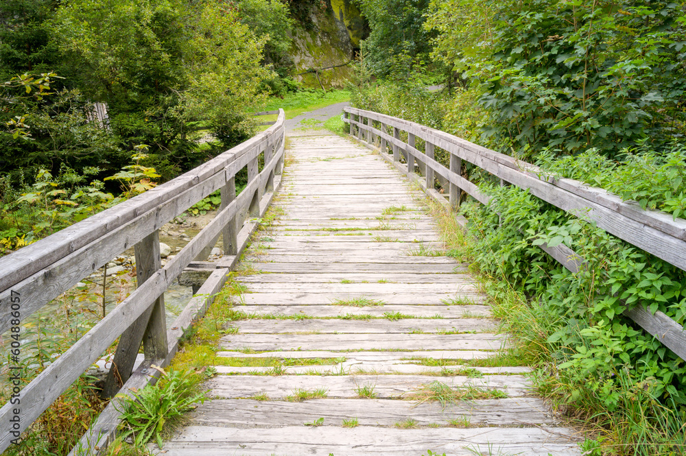 Fototapeta premium Wooden bridge in forest on hiking trail, Goschenertal, Switzerland.