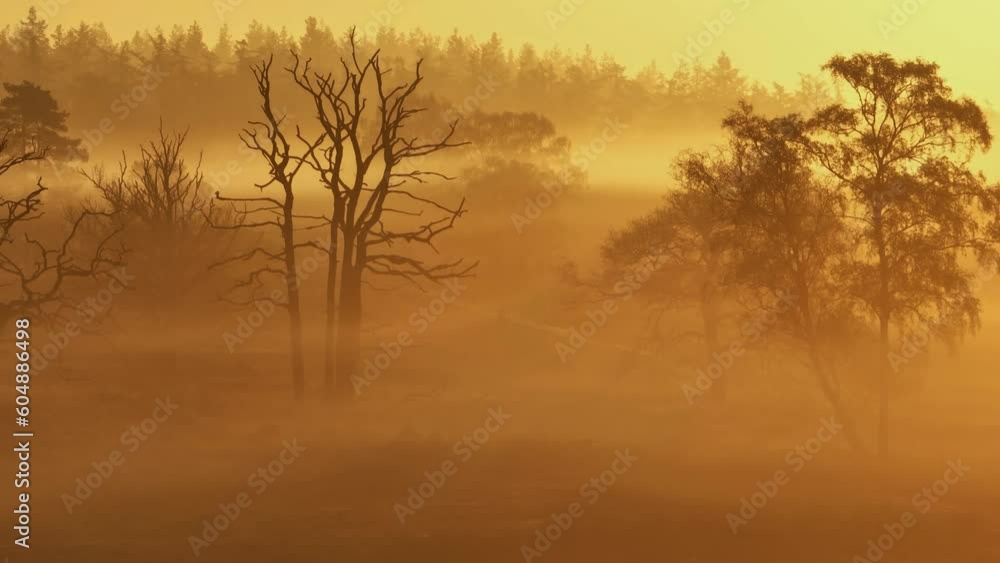 A dolly aerial shot of a foggy mountain with trees in the morning. A dolly aerial shot of a foggy mountain with trees in the morning.