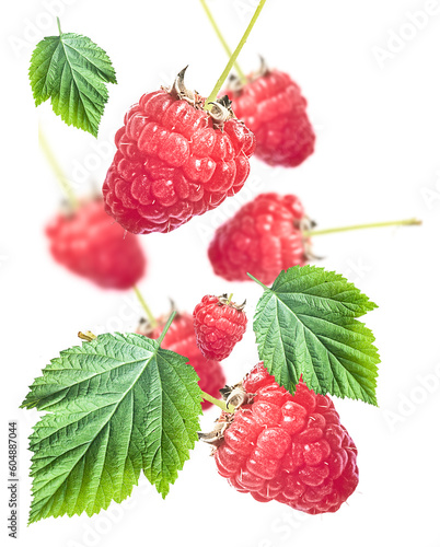 pattern of fresh organic raw raspberries isolated over white background  healthy eating  summer harvest