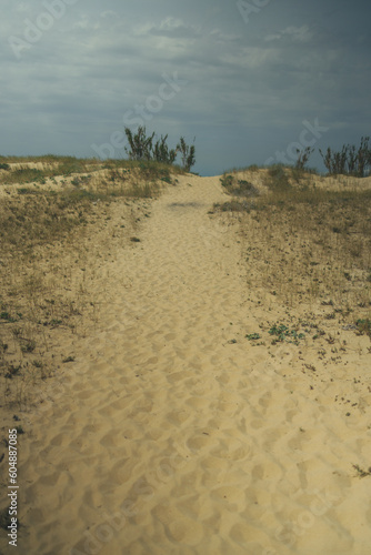 Deserted beach