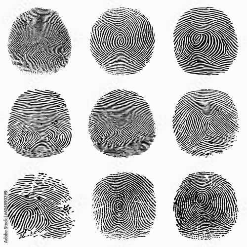 Fingerprint Vector Collection