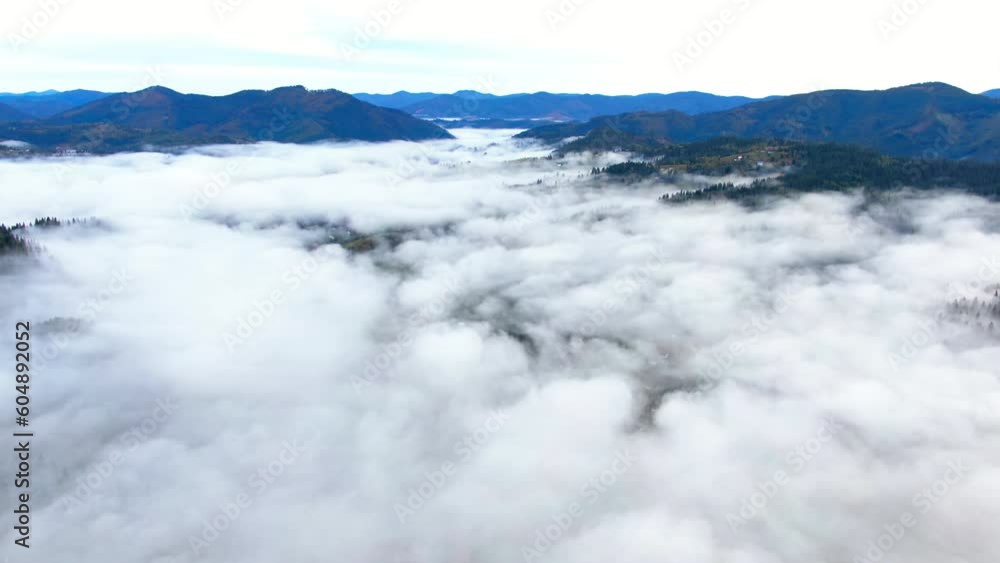 Wide shot white clouds in blue Carpathian mountains in Ukraine. Drone view morning landscape with mist fog outdoors Wide shot white clouds in blue Carpathian mountains in Ukraine. Drone view morning landscape with mist fog outdoors