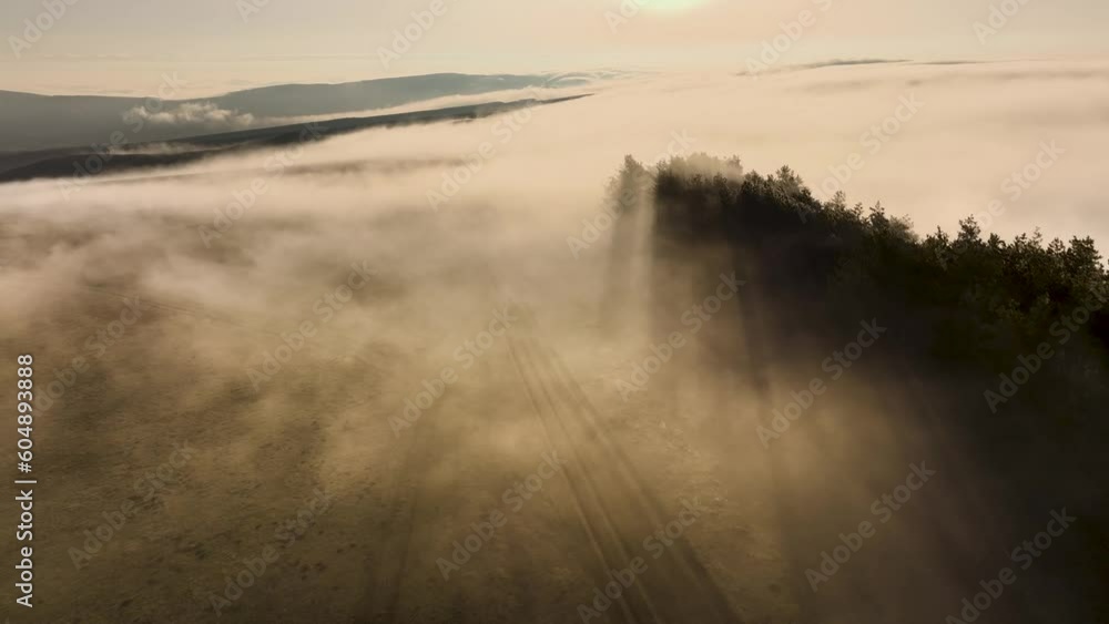 Foggy morning or evening over meadow plain with trees with mountains in the background, bird's eye view landscape. The sun's rays break through and above the clouds Foggy morning or evening over meadow plain with trees with mountains in the background, bird's eye view landscape. The sun's rays break through and above the clouds