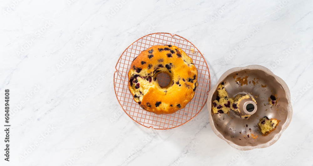 Lemon blueberry bundt cake with powdered sugar dusting Lemon blueberry bundt cake with powdered sugar dusting