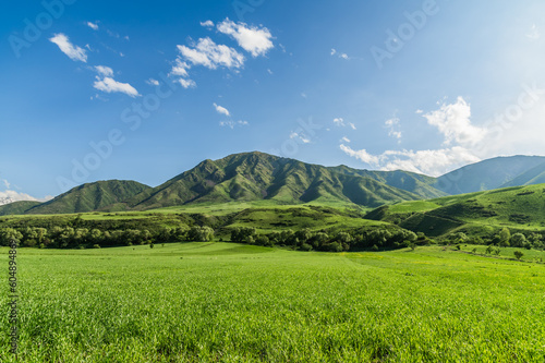 Green meadow against the backdrop of green hills. Blue sky with clouds.Journey into the wild.