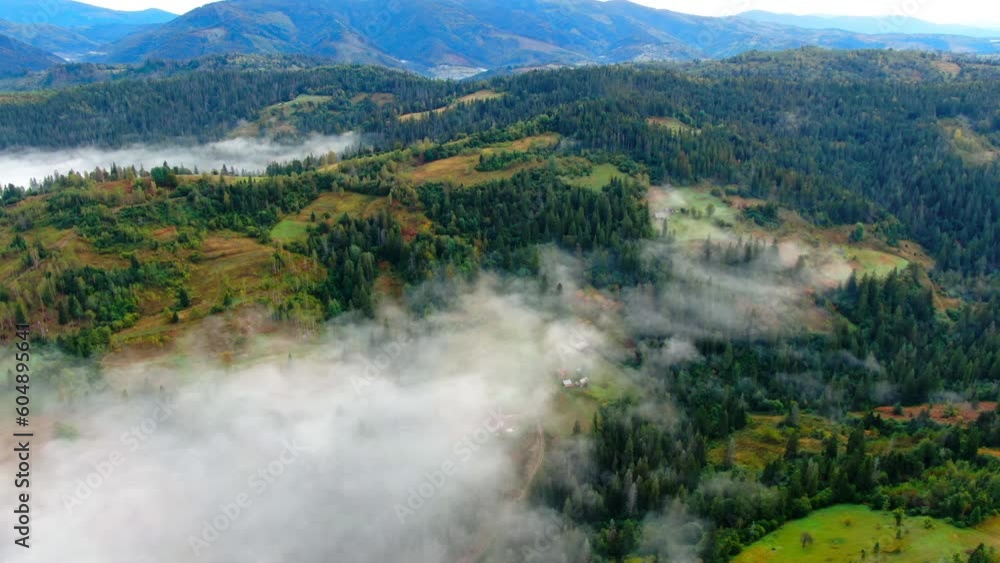 High angle view green forest on Carpathian mountains hills outdoors. Aerial view wide shot of picturesque landscape in Ukraine High angle view green forest on Carpathian mountains hills outdoors. Aerial view wide shot of picturesque landscape in Ukraine