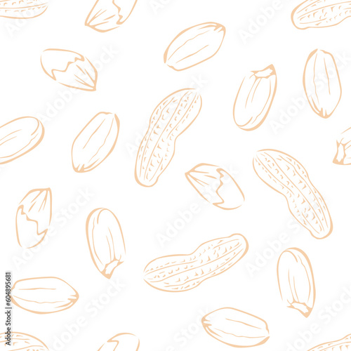 Peanuts seamless pattern. Line art vector illustration. Nuts background.