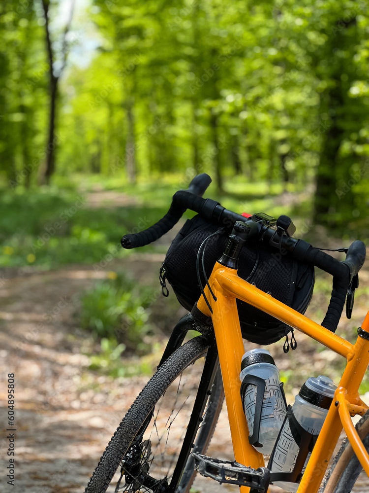 Gravel bicycle in the city park on the spring season