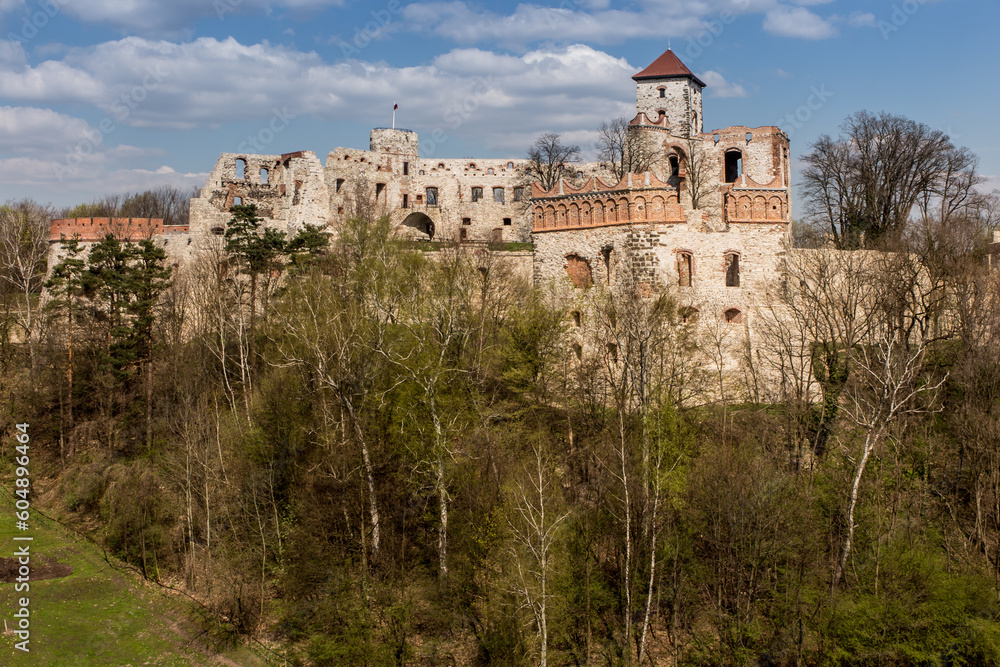Tenczyn Castle - the ruins of a castle located in the Jura Krakowsko-Częstochowska, Poland