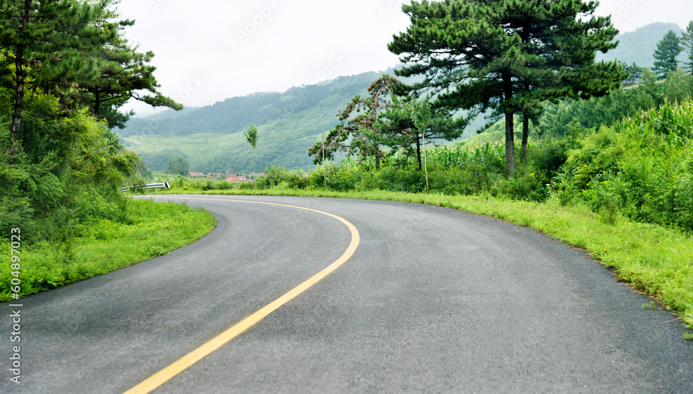 Naklejka premium Road turning in the hills