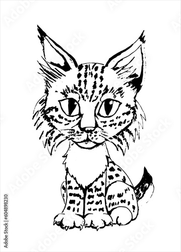 Little baby lynx. Cartoon vector illustration. Black and white.
