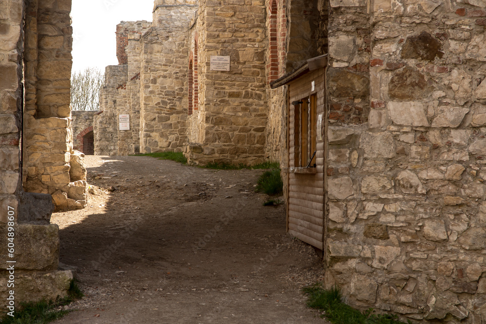 Obraz premium Closing in the gate to the Tanczyn Castle (castle ruins, fragments of walls) in the village of Rudno, near Krakow in Poland.