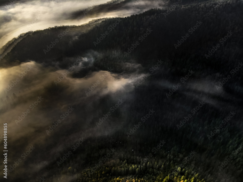 morning mist in Carpathians