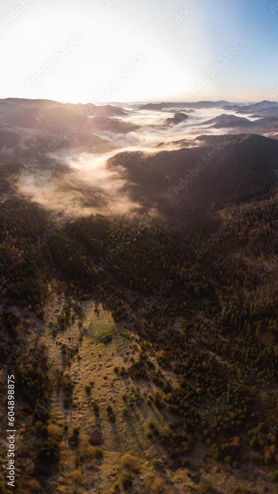 morning mist in Carpathians