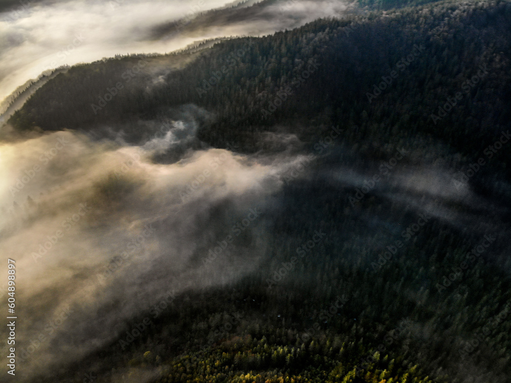 morning mist in Carpathians