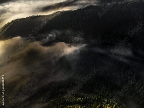 Obraz na płótnie morning mist in Carpathians w salonie
