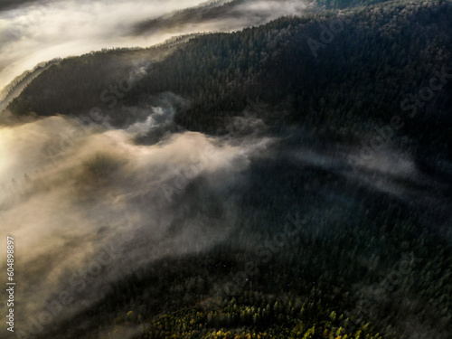 Obraz na płótnie morning mist in Carpathians w salonie