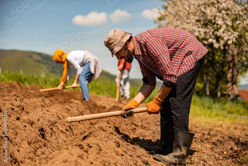 Team of farmers are working on an agricultural fields. photo