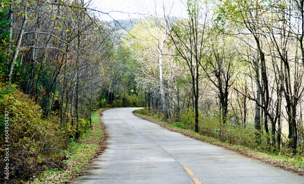 Curved road with trees and grass on roadside Curved road with trees and grass on roadside