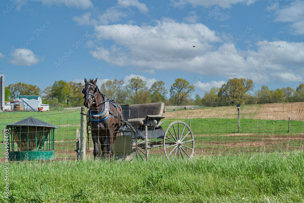Amish horse and carriage tied to fence in late Spring.