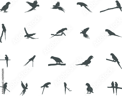 Parrot silhouette  Parrot vector  Birds silhouette  Parrot SVG  Parrot icon set.