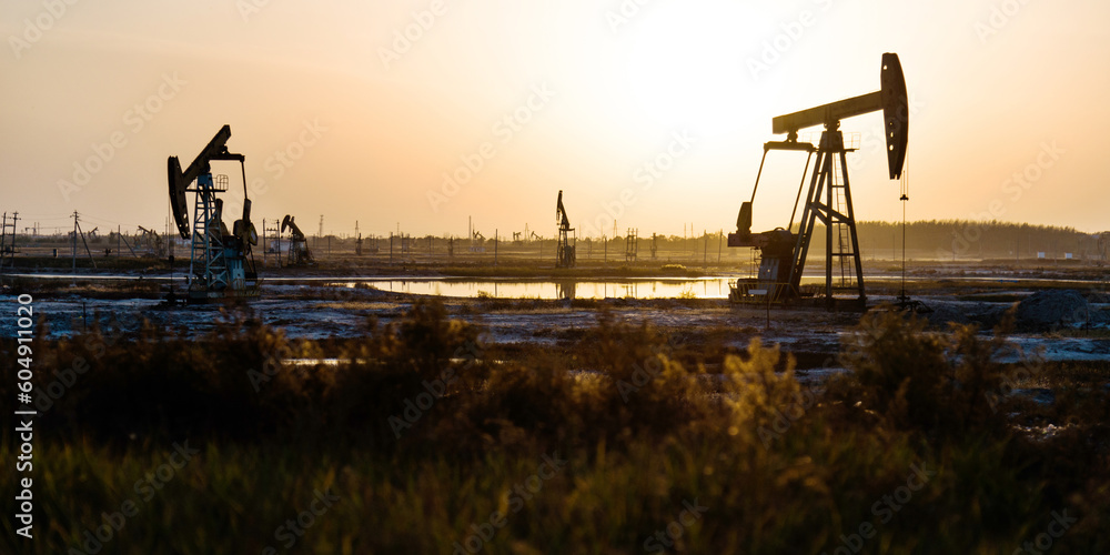 Naklejka premium The oilfield with pump units