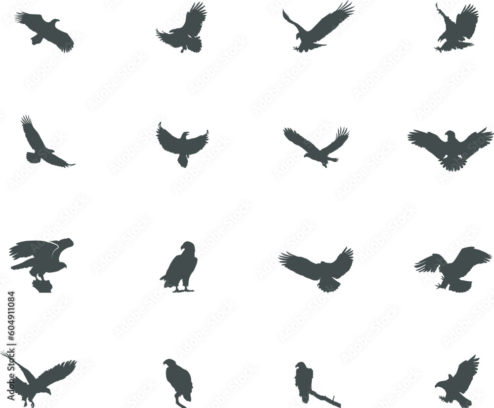 Eagle silhouette, Bald eagle silhouette, Flying eagle silhouette, Eagle