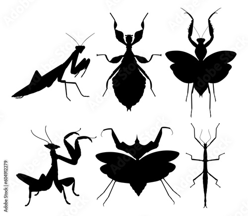 Set black mantis silhouette insect icon Vector illustration	