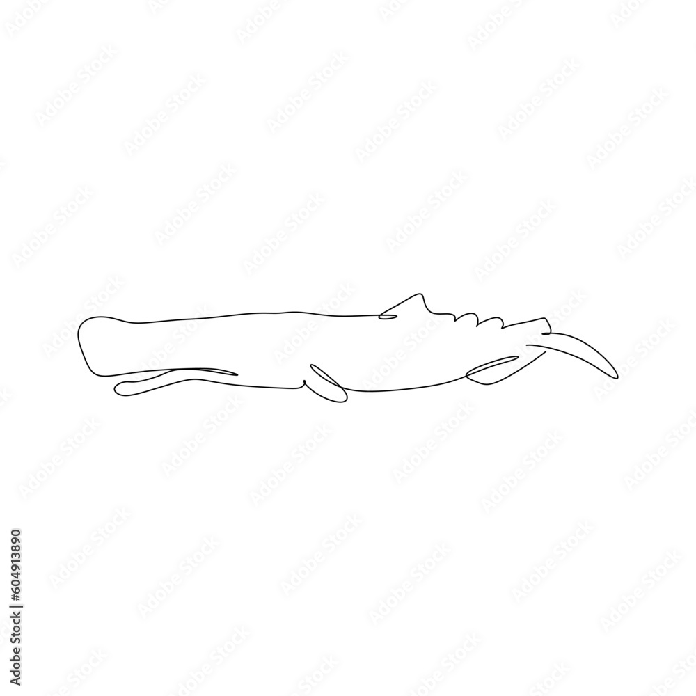 Large sperm whale continuous single line drawing art Large sperm whale continuous single line drawing art