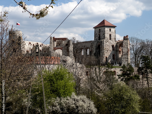Tenczyn Castle - the ruins of a castle located in the Jura Krakowsko-Częstochowska, Poland photo