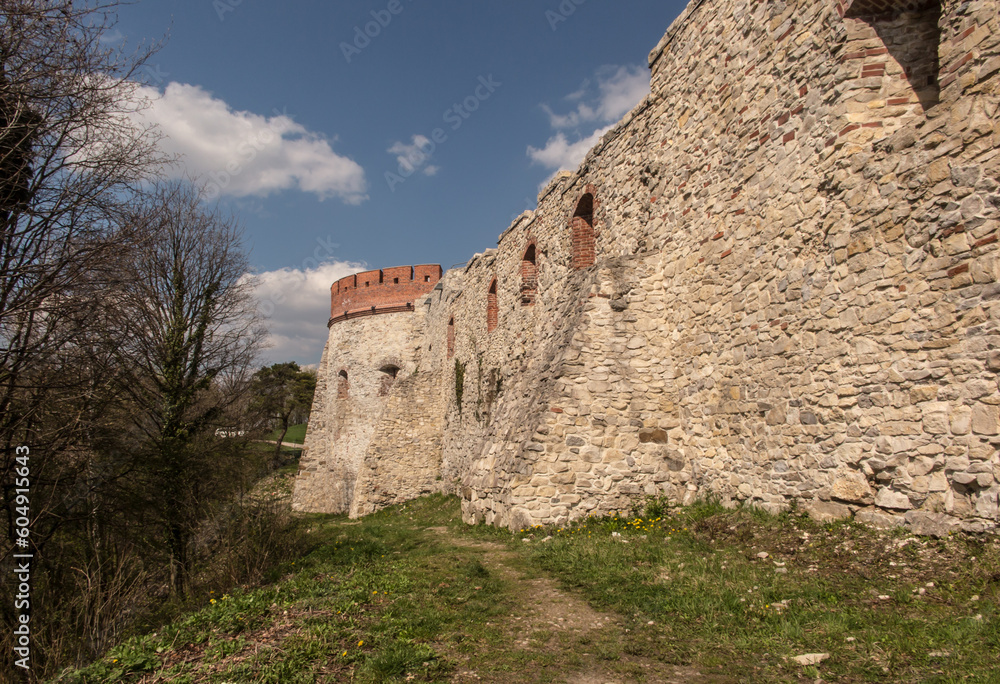 Tenczyn Castle (castle ruins, fragments of walls) in the village of Rudno, near Krakow in Poland