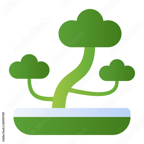 bonsai tree