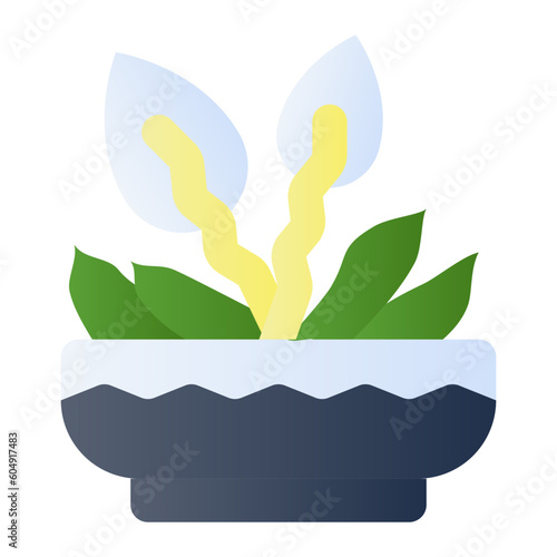 peace lily